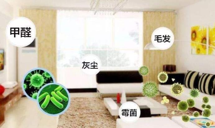 室內(nèi)除甲醛：白醋洋蔥除甲醛，用完了炒來吃？